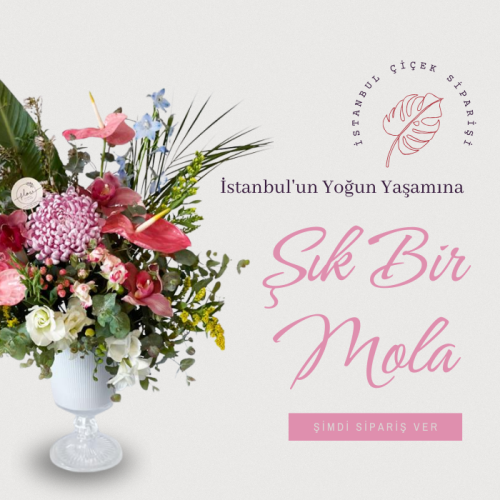 https://www.jardinerie.com.tr/buketler