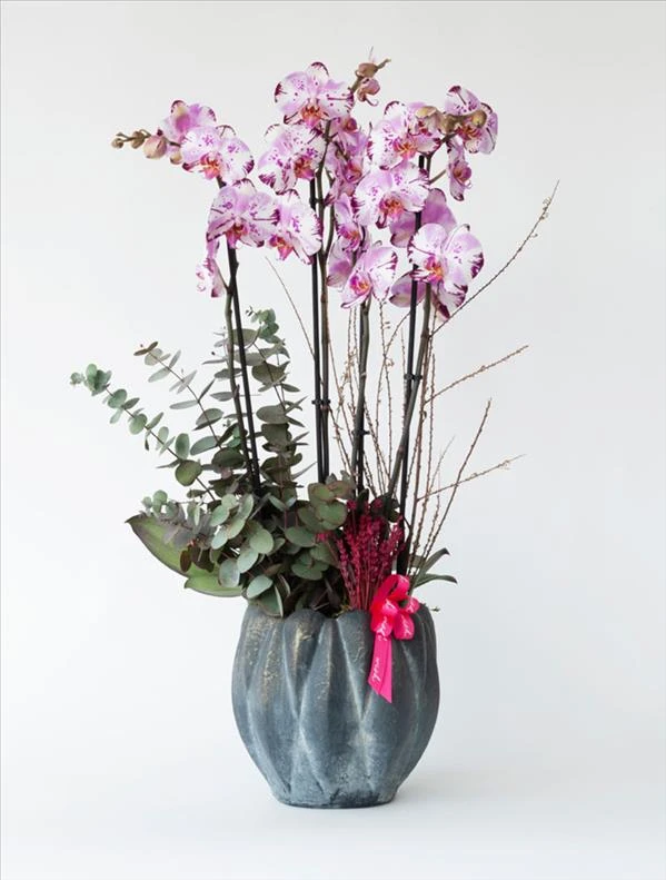 Misafirlik İçin Hangi Çiçek Alınmalı?