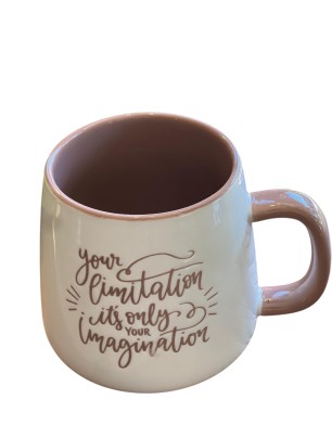 Imagination Yazılı Bardakta Çiçek Aranjmanı