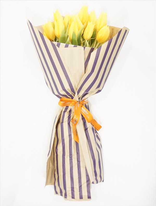 Tulipes