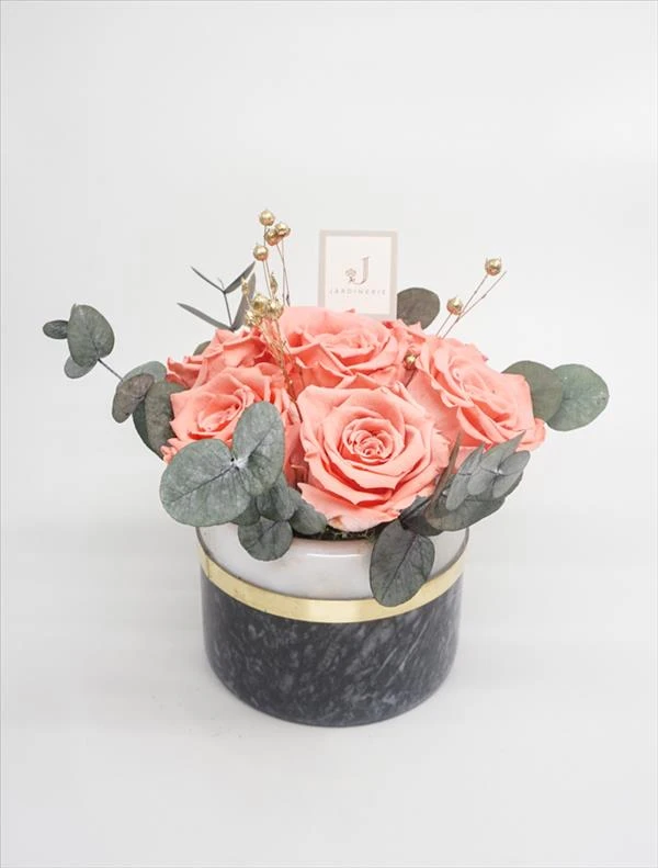 Alice Solmayan Güller